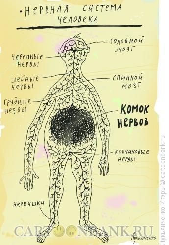 Вязанье для нервной системы Вязанье для нервной системы